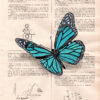 Tableau sur vieux livre "Papillon bleu"