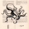 Tableau sur vieux livre - pieuvre