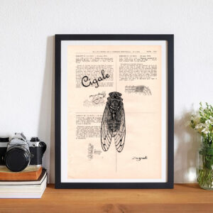 Tableau sur vieux livre - Cigale