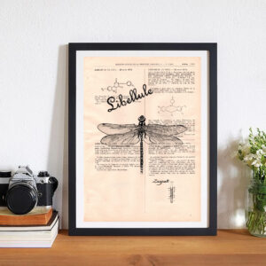 Tableau sur vieux livre "Libellule"