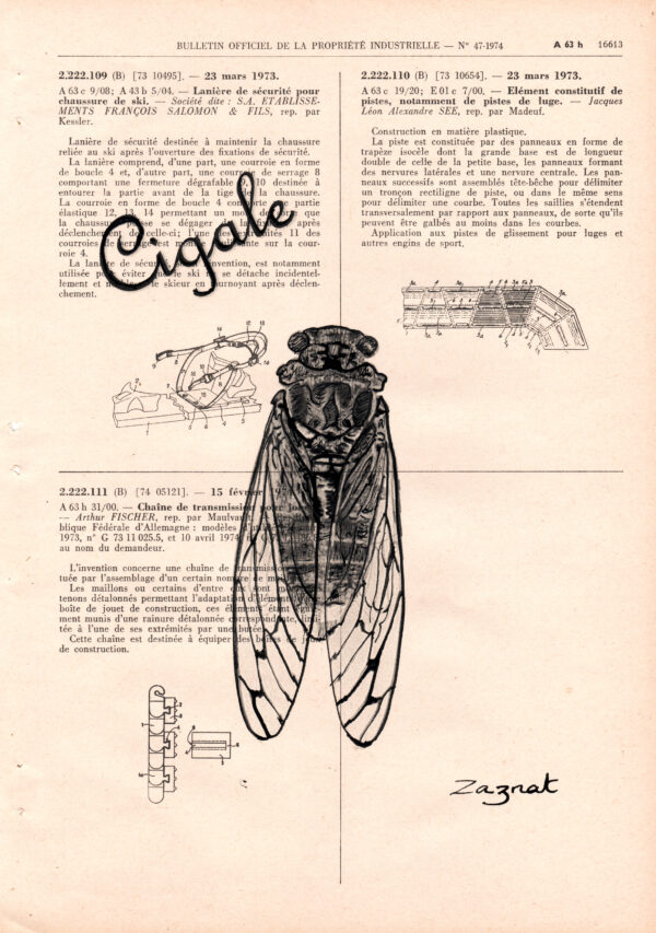 Tableau sur vieux livre - Cigale