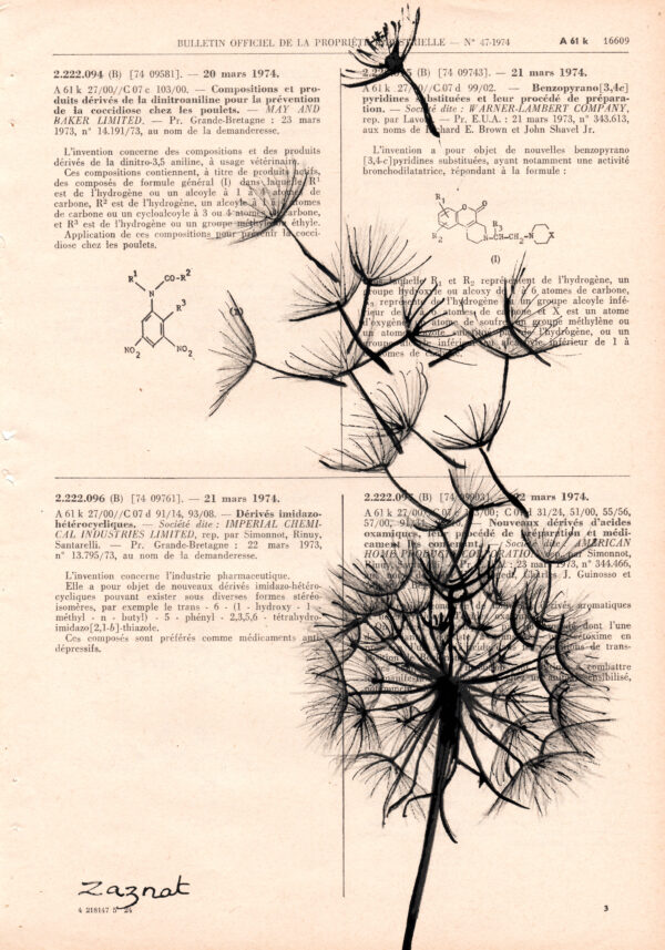 Tableau sur vieux livre - Dandelion