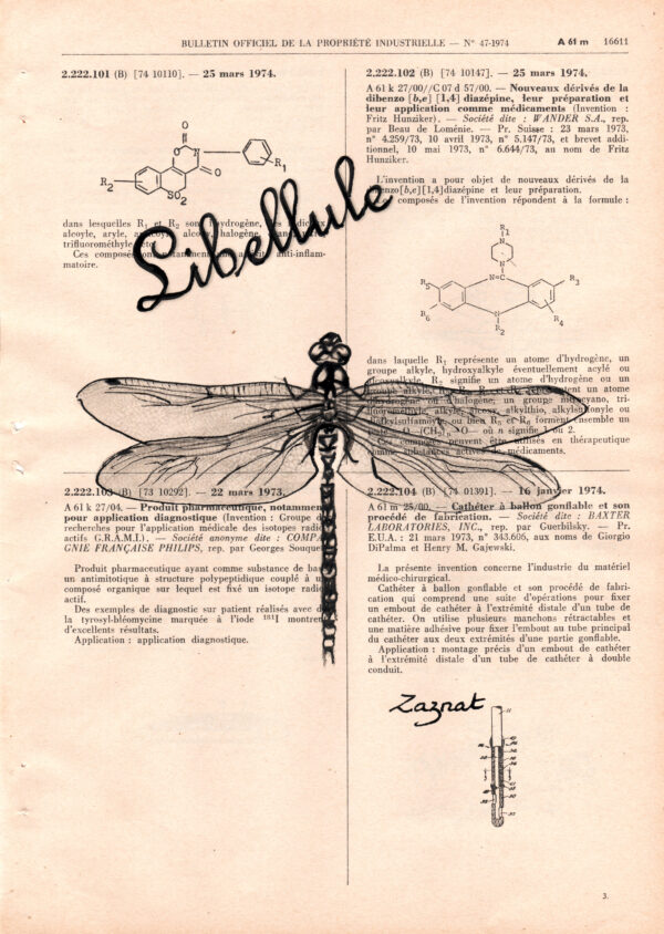Tableau sur vieux livre "Libellule"