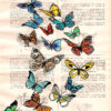 Tableau sur vieux livre "Virgule de papillons"