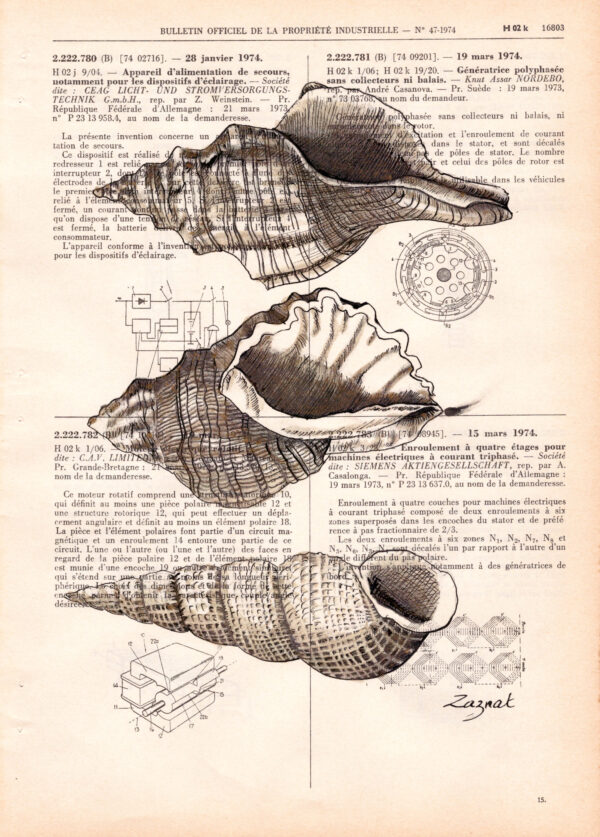 coquillages Tableau sur page de livre - Coquillages