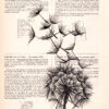 Tableau sur vieux livre - Dandelion