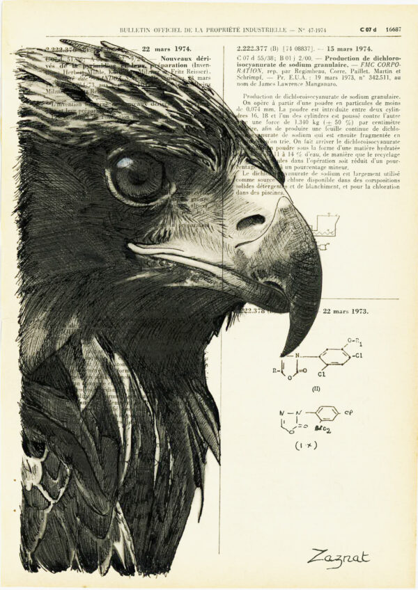 Tableau sur vieux livre - Aigle