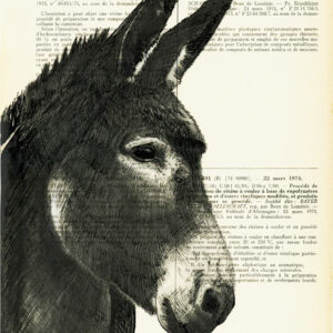 Tableau sur vieux livre - Anne