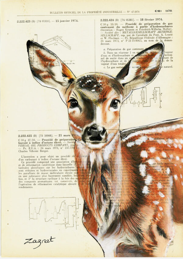 Tableau sur vieux livre - Biche en couleurs