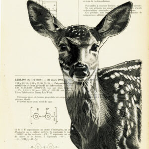 Tableau sur vieux livre - Biche noir et blanc