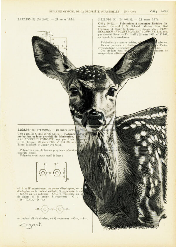 Tableau sur vieux livre - Biche noir et blanc