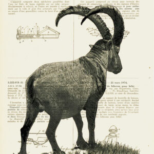 Tableau sur vieux livre - Bouquetin