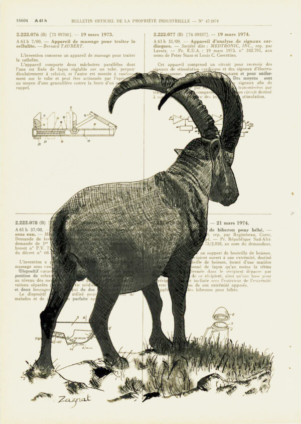 Tableau sur vieux livre - Bouquetin