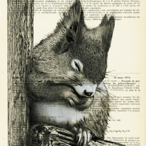 Tableau sur vieux livre - Ecureuil