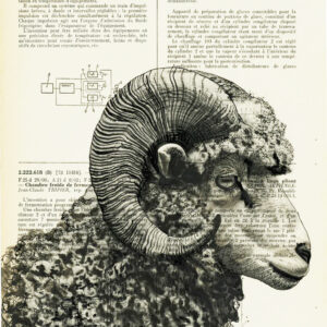 Tableau sur vieux livre - Mouflon