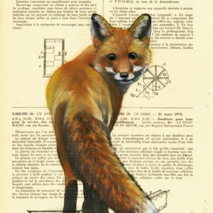 Tableau sur vieux livre - Renard couleurs