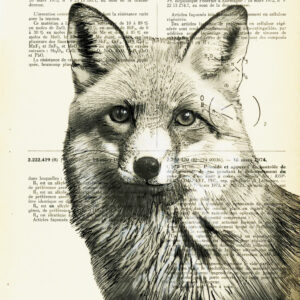 Tableau sur vieux livre - Buste de Renard