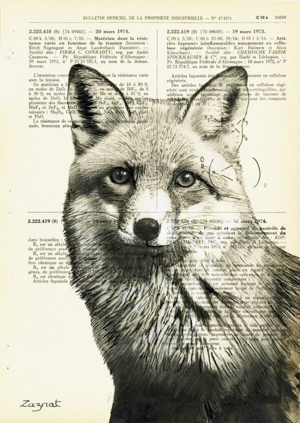 Tableau sur vieux livre - Buste de Renard