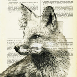 Tableau sur vieux livre - Renardeau