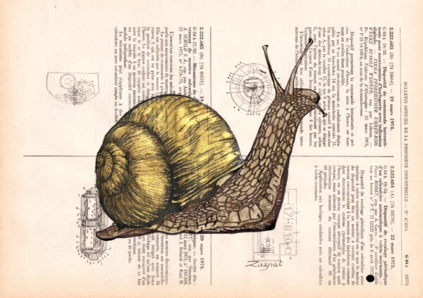 Tableau sur page de livre - Escargot
