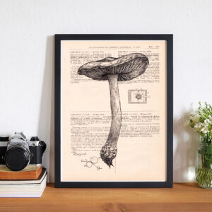 cadre_champignon Tableau sur page de livre - Champignon