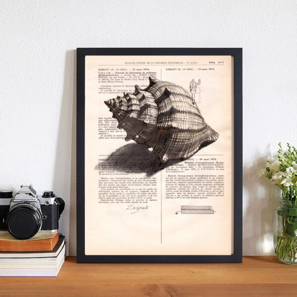 cadre_coquillage Tableau sur page de livre - Coquillage