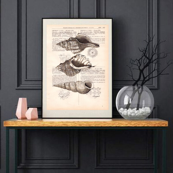 cadre_coquillages Tableau sur page de livre - Coquillages