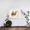 Tableau sur page de livre - Escargot