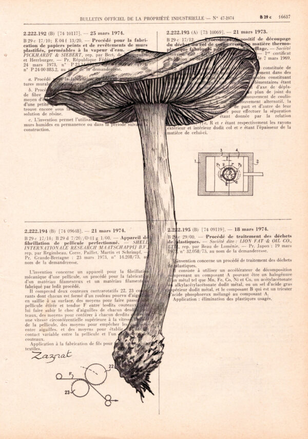 Tableau sur page de livre - Champignon