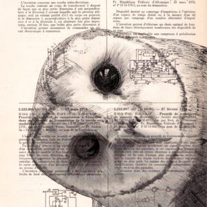 chouette Tableau sur page de livre - Chouette