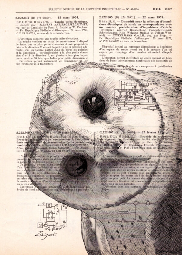 Tableau sur page de livre - Chouette