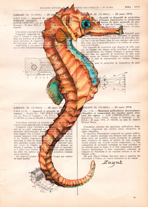 hyppocampe Tableau sur page de livre - Hyppocampe