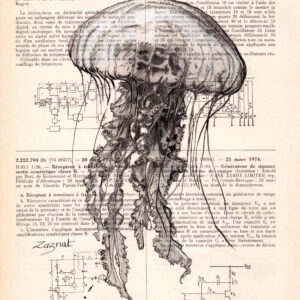 meduse Tableau sur page de livre - Meduse