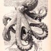Tableau sur page de livre - Pieuvre
