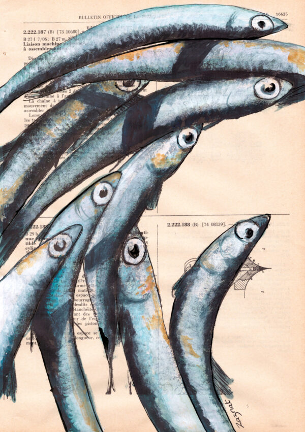 Tableau sur page de livre - Sardines