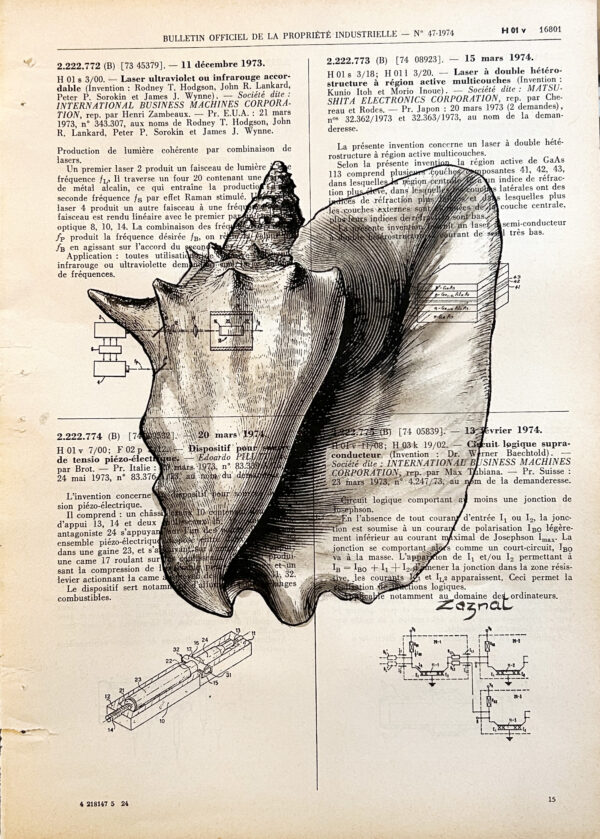 coquillage1 Tableau sur page de livre - coquillage