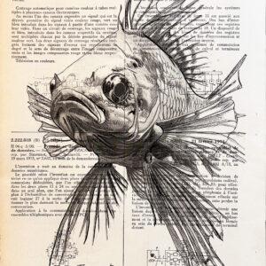poisson Tableau sur page de livre - Poisson