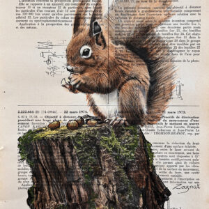 Tableau sur vieux livre - noisettes